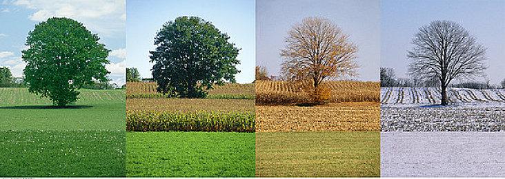 《如龙》工作室4月1日举行直播活动 将发布重磅消息？